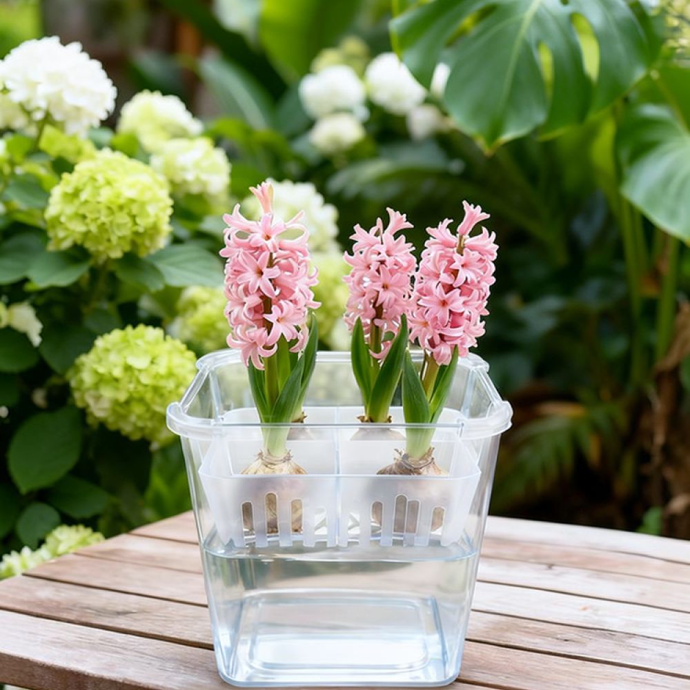 Vase hydroponique pour tulipes - Vase Decor avis et prix