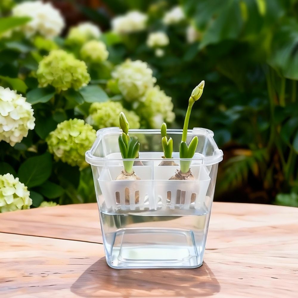 Vase hydroponique pour tulipes - Vase Decor avis et prix